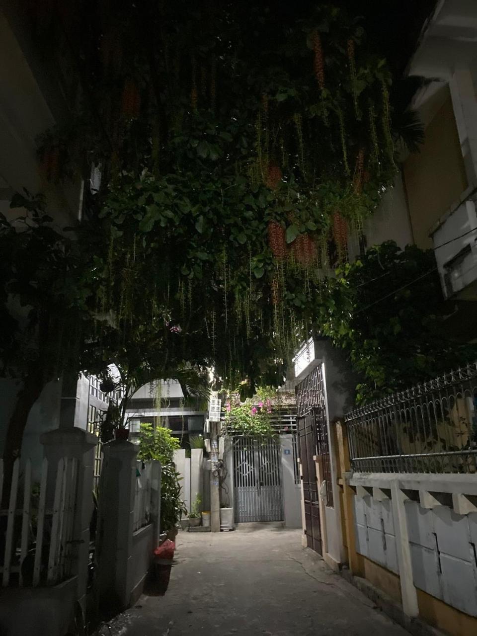 Aumori Hostel Ðồng Hới Luaran gambar